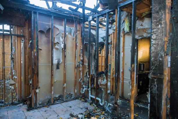 Professional Fire Damage Assessment technician working in Sky Valley, CA